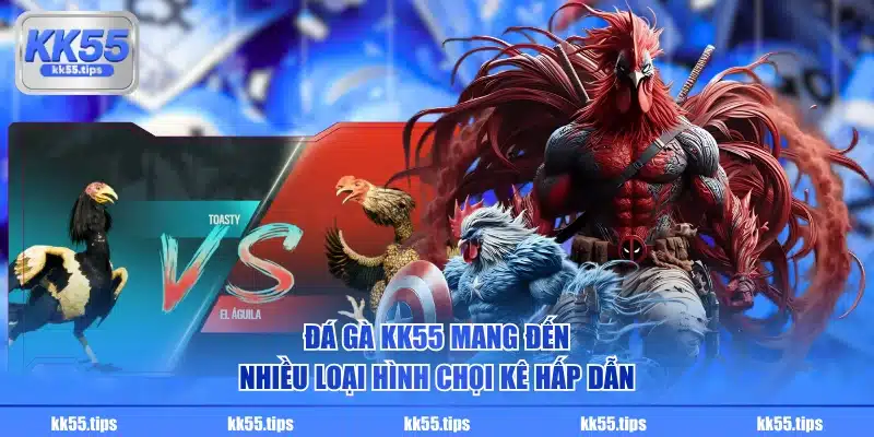 Đá gà KK55 mang đến nhiều loại hình chọi kê hấp dẫn